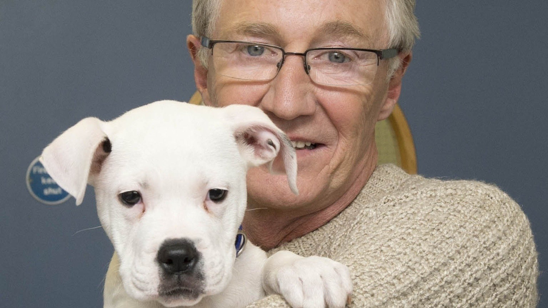 Paul O'Grady, pour l'amour des chiens - Épisode 8