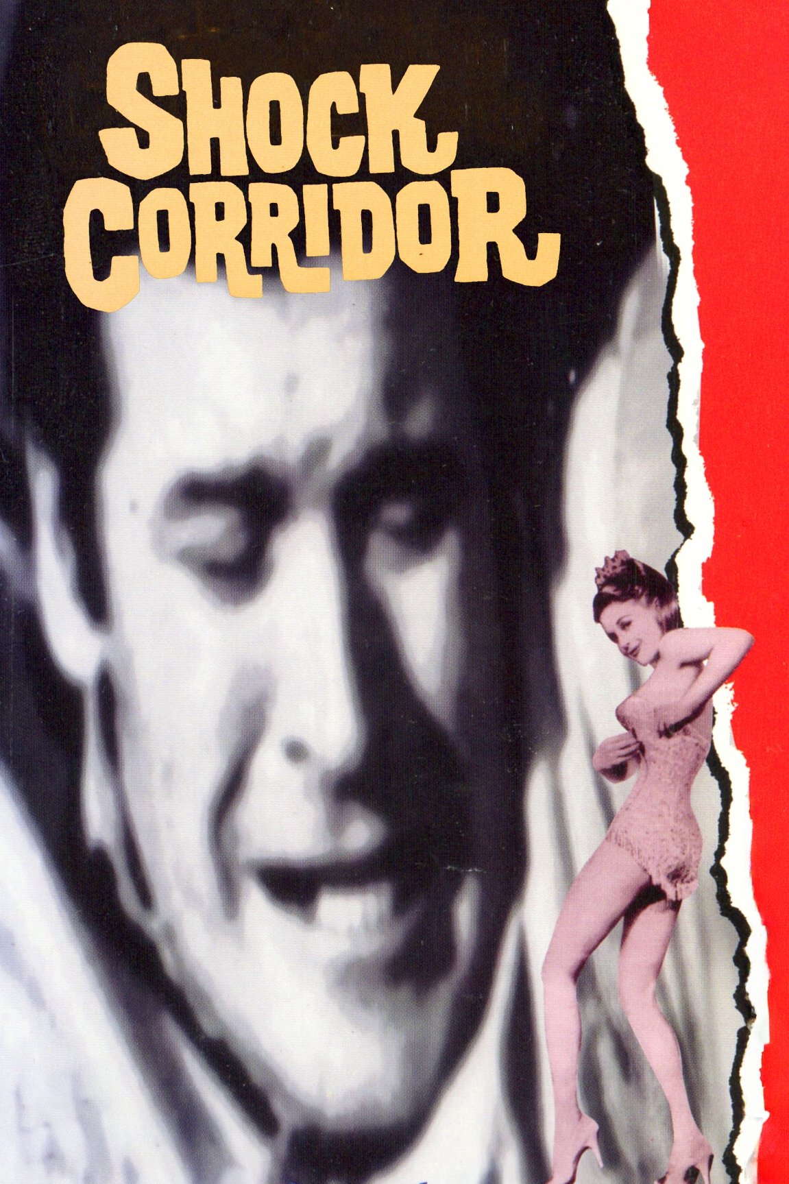 Shock Corridor