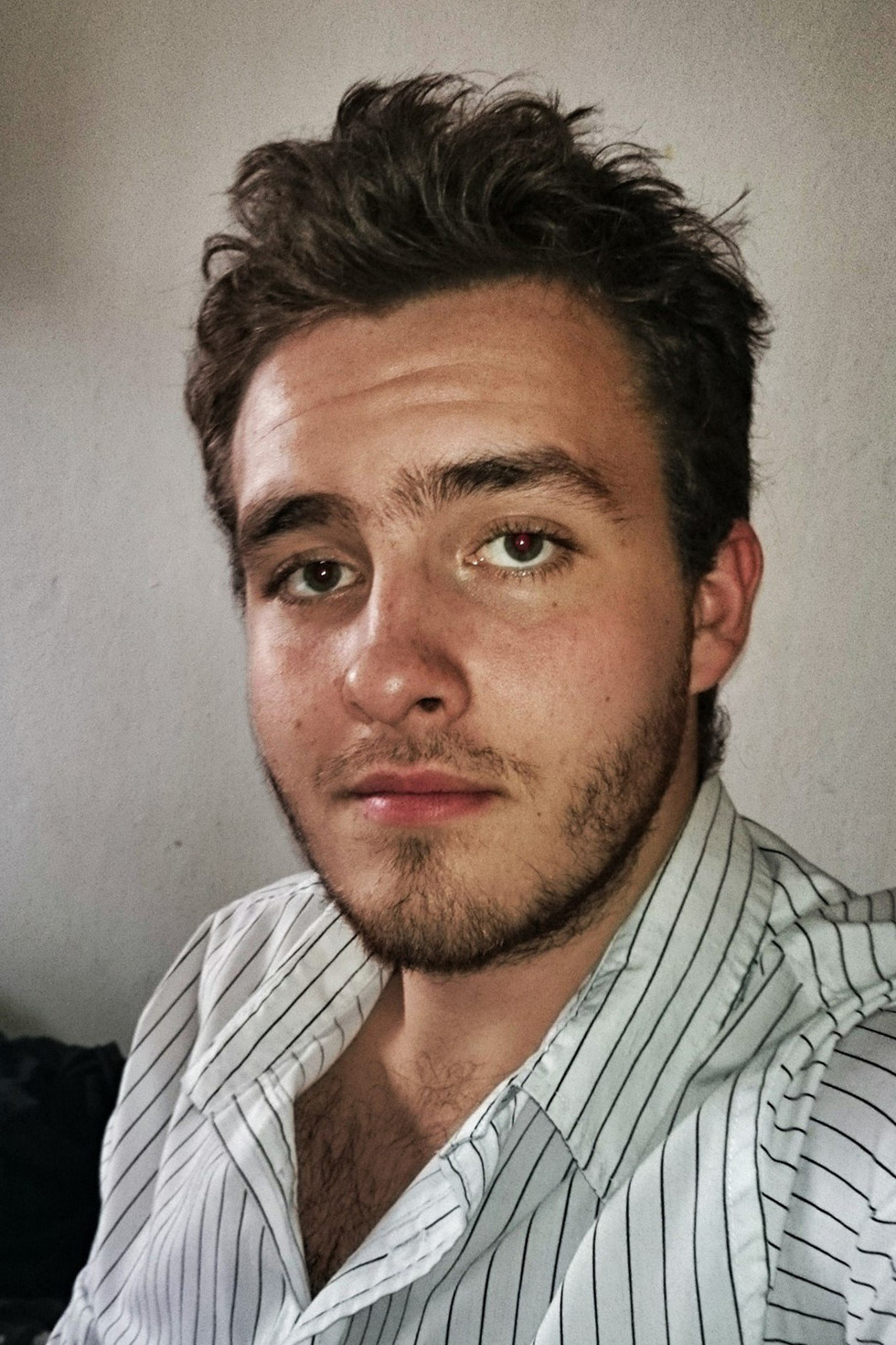 et billede af Ivo Bis