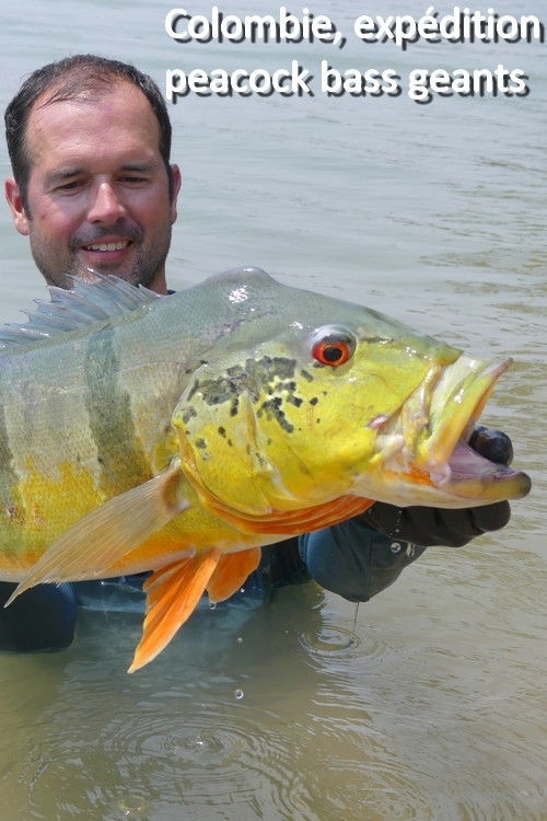Colombia, A Giant Peacock Bass Expedition