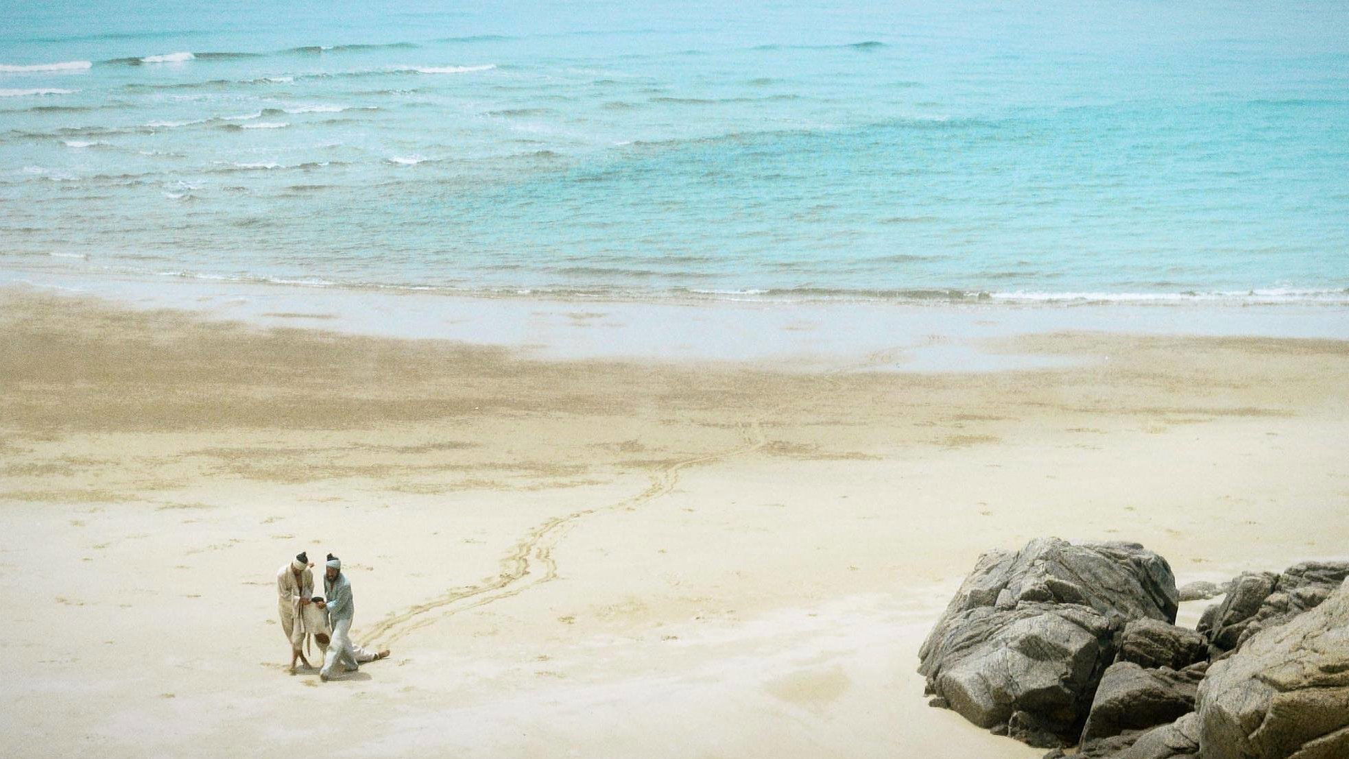 Isle of Snakes (2023)
