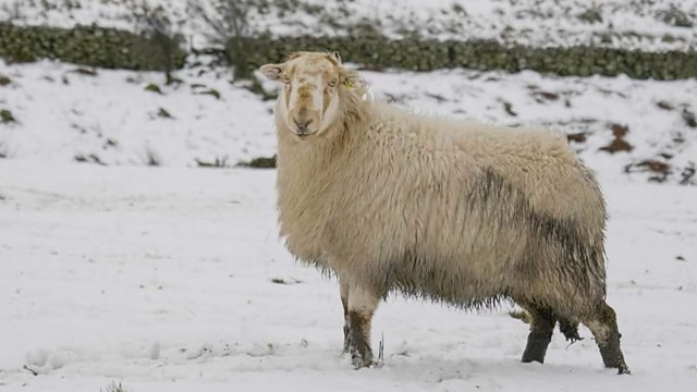 Countryfile 34x7