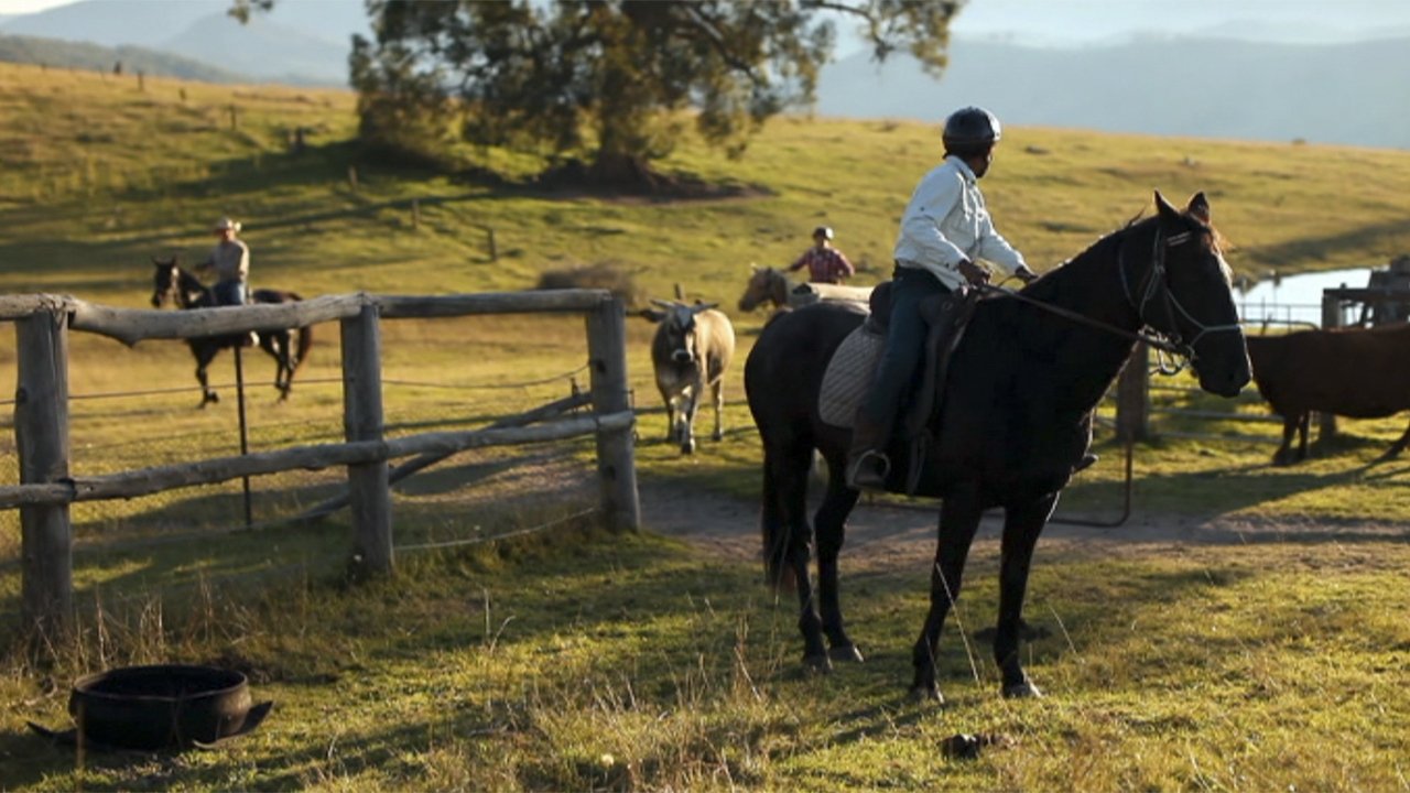 Thumbnail for Cattle Muster Season 1 Episode 13