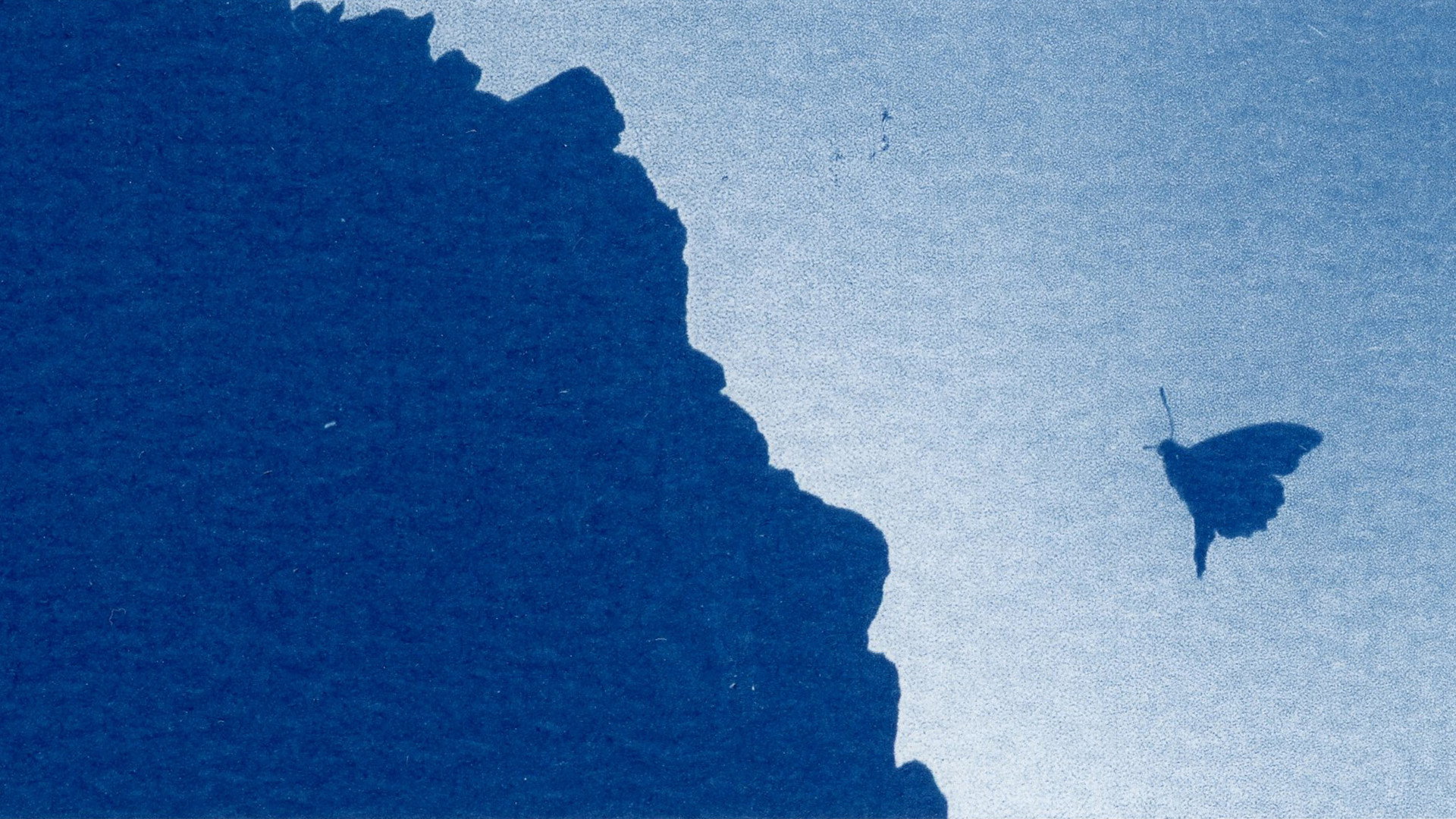 Backdrop