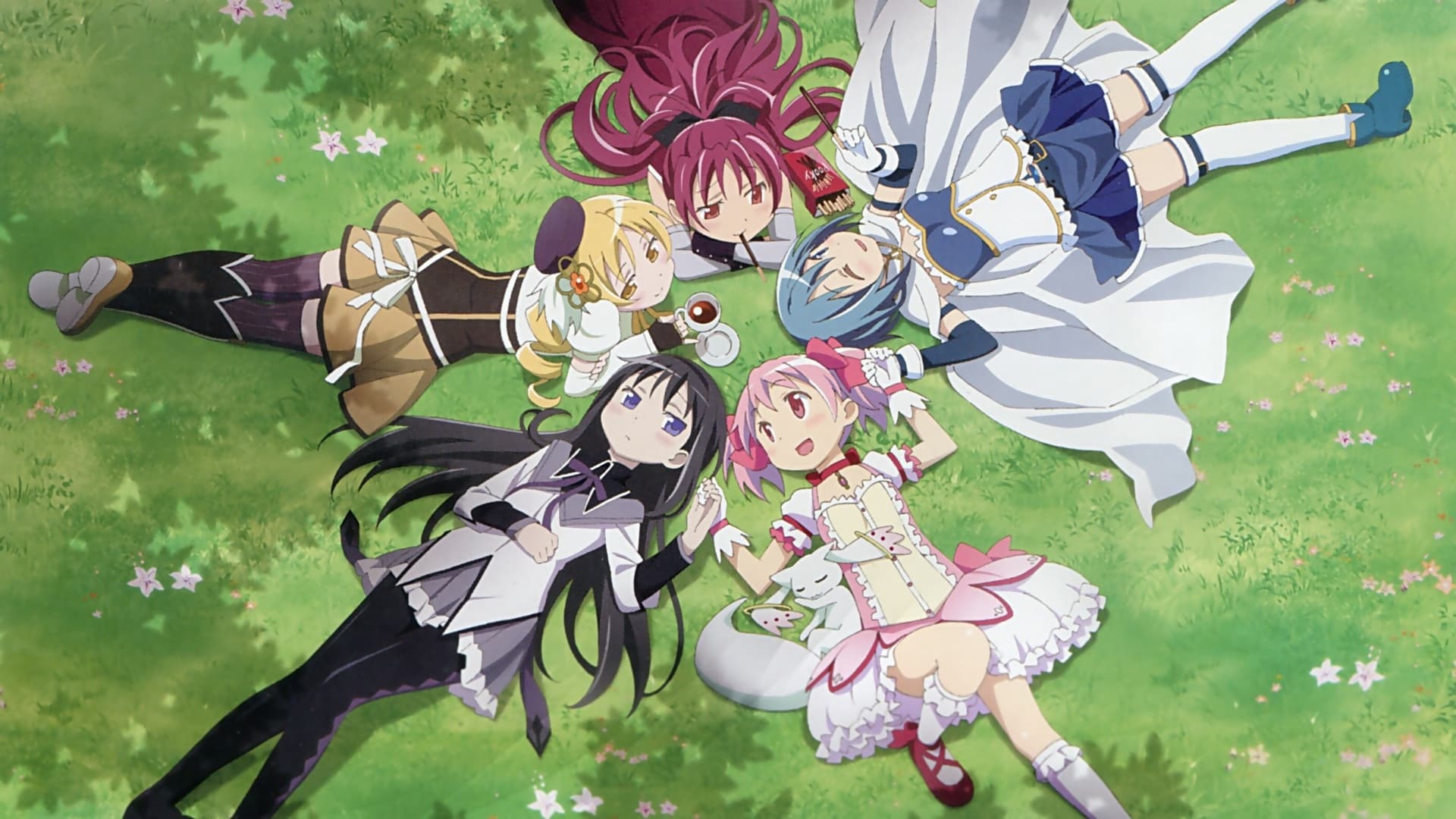 Puella Magi Madoka Magica Parte 1: L'inizio della storia