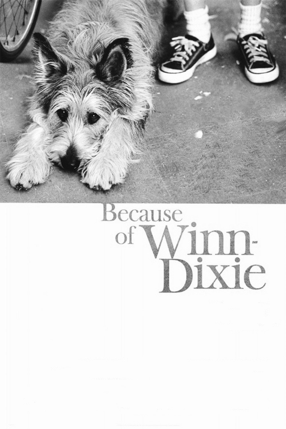 Because of Winn-Dixie