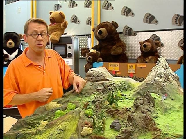 C'est pas sorcier - Les ours