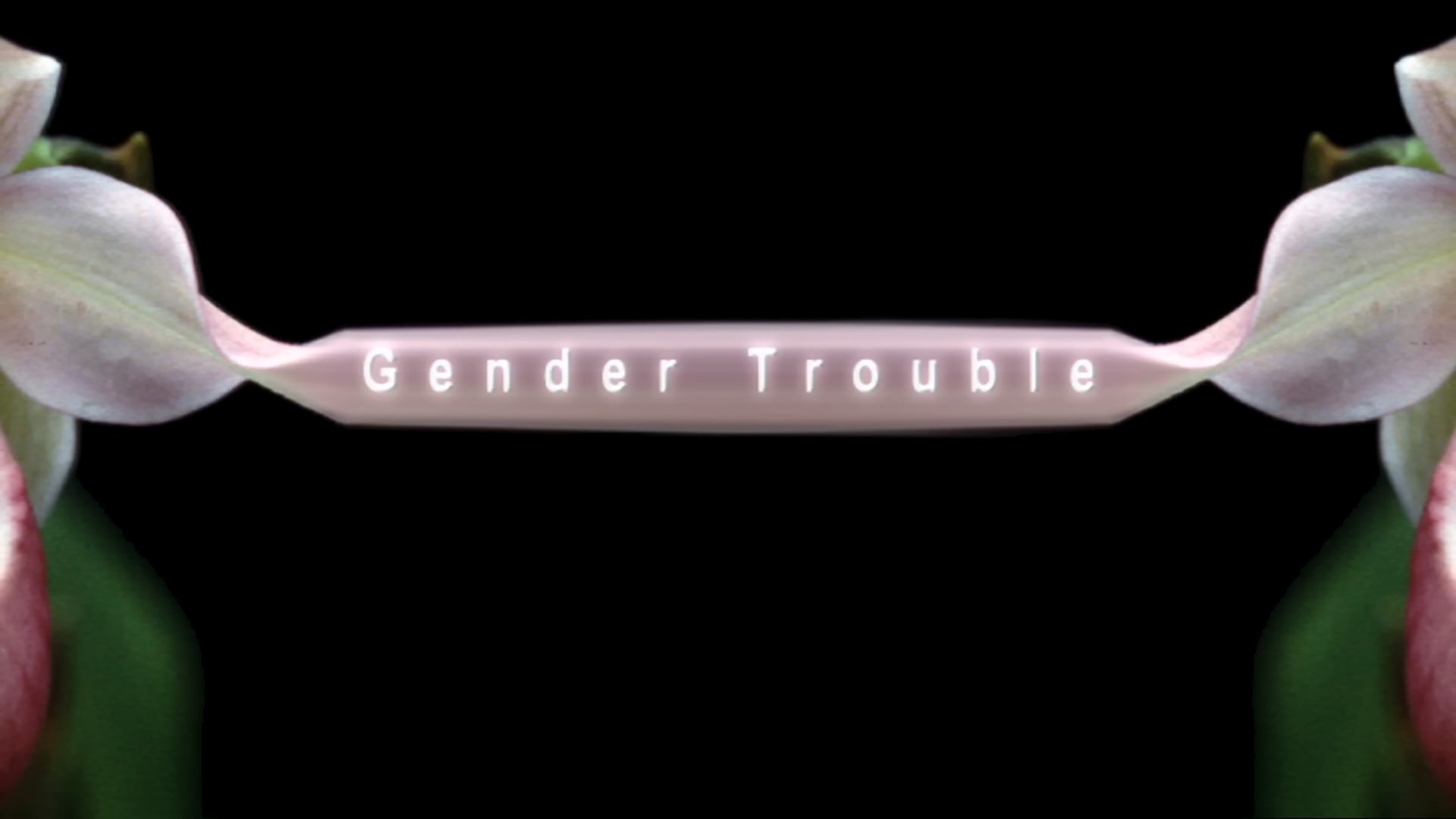 Gender Trouble (2003)