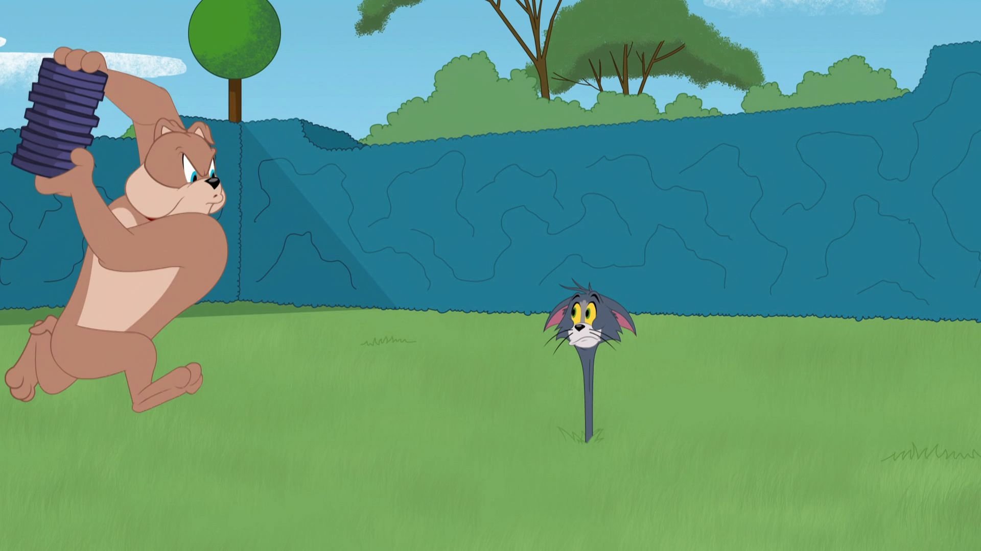 The Tom and Jerry Show