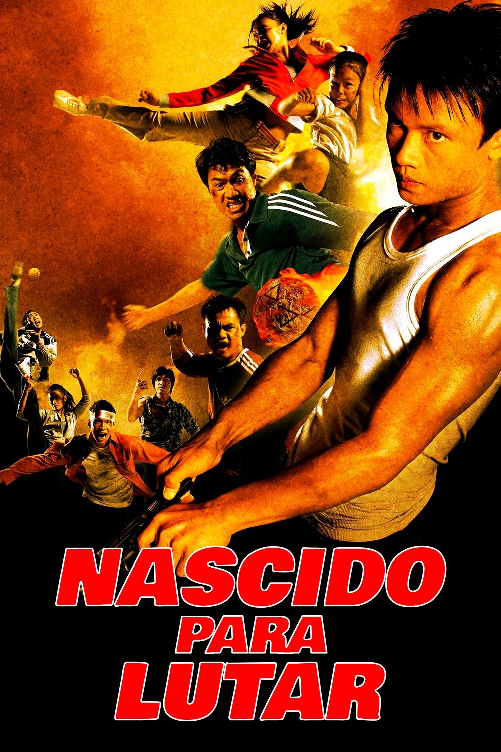 Nascido para Lutar Nascido para Lutar
