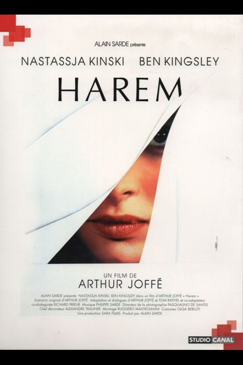 Affiche du film Harem 141468