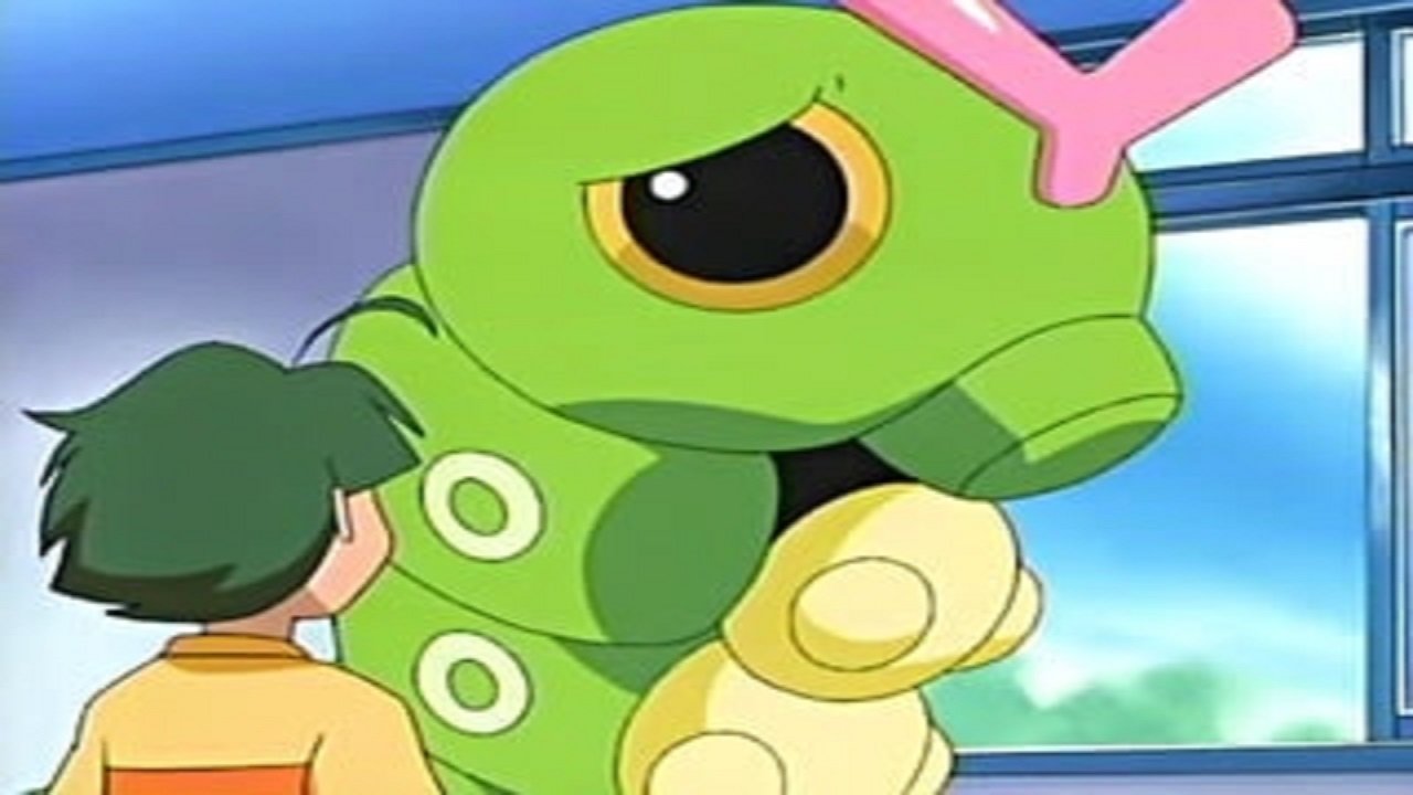 Pokémon Season 8 :Episode 50  Caterpie's Big Dilemma