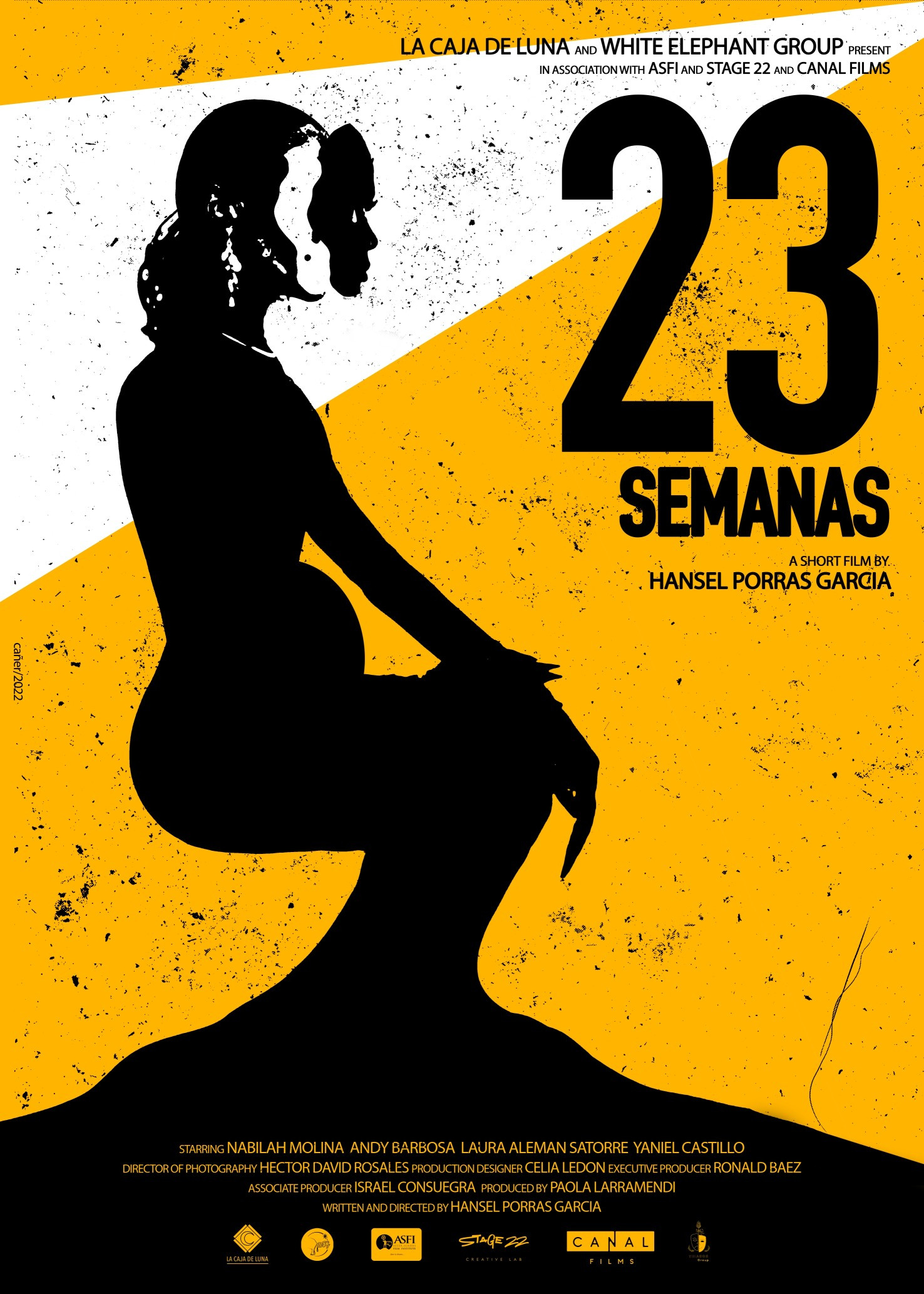 23 Semanas