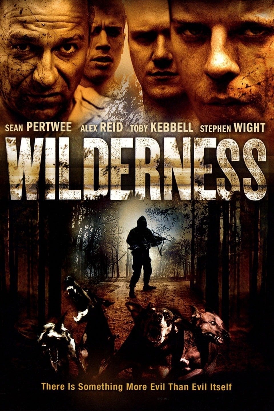Wilderness streaming