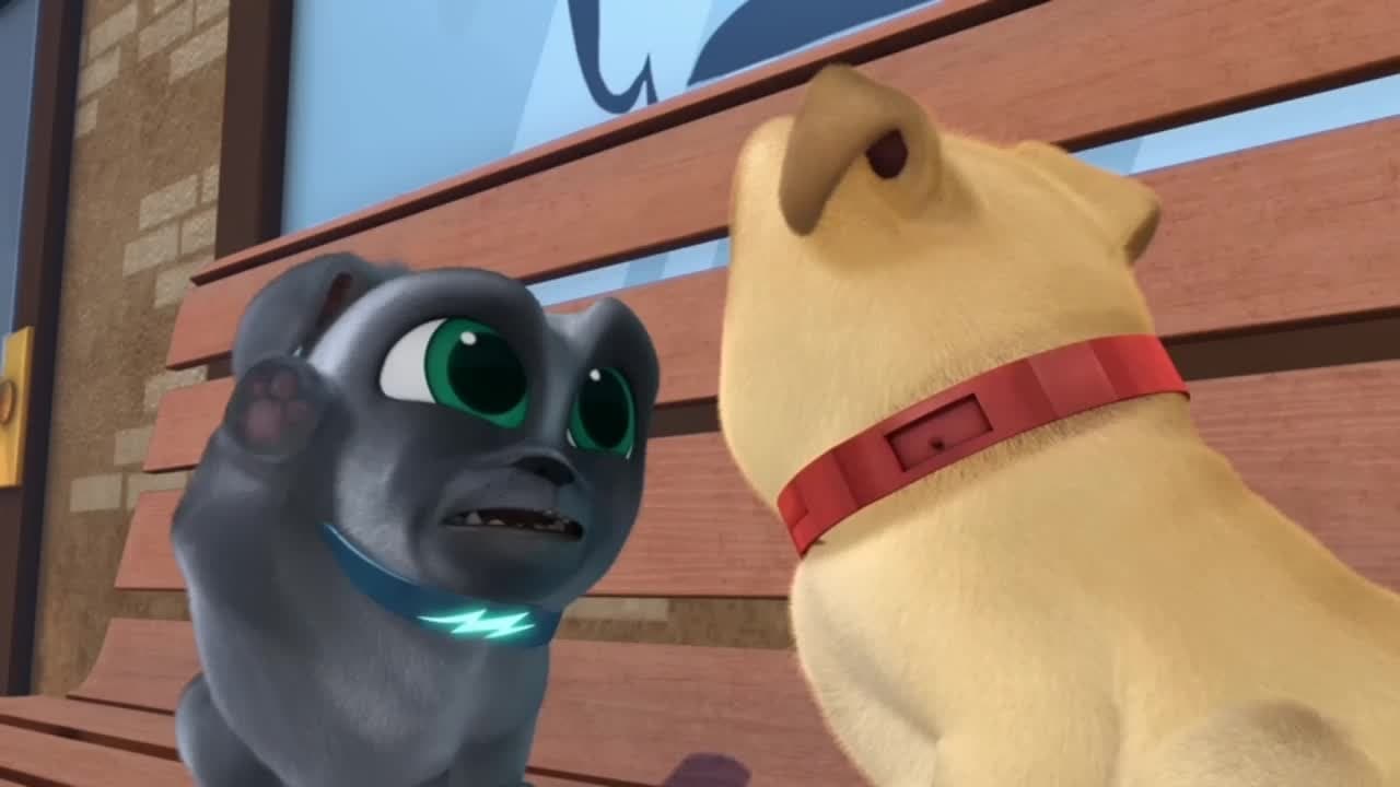 Puppy Dog Pals