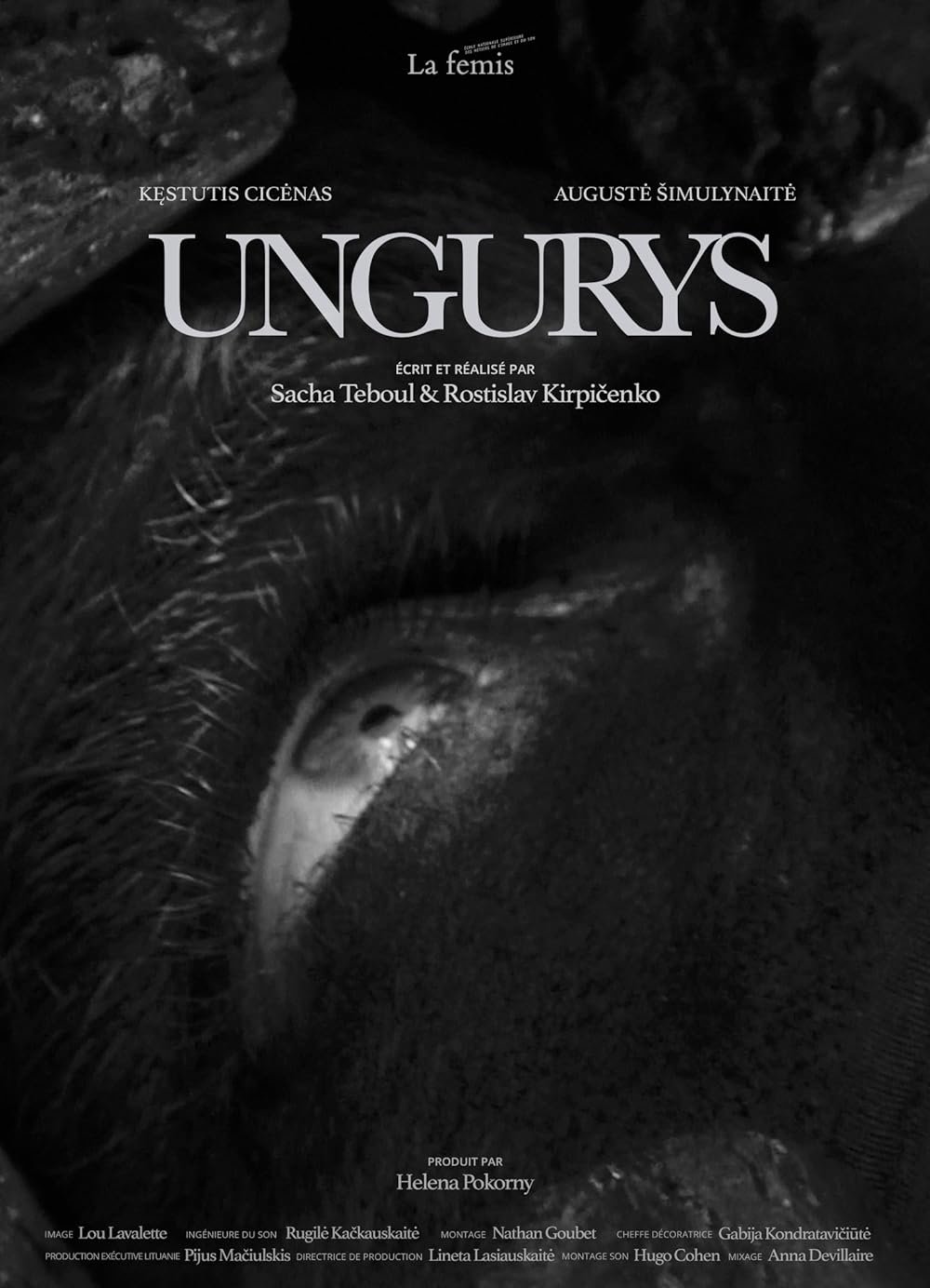 Ungurys Ungurys