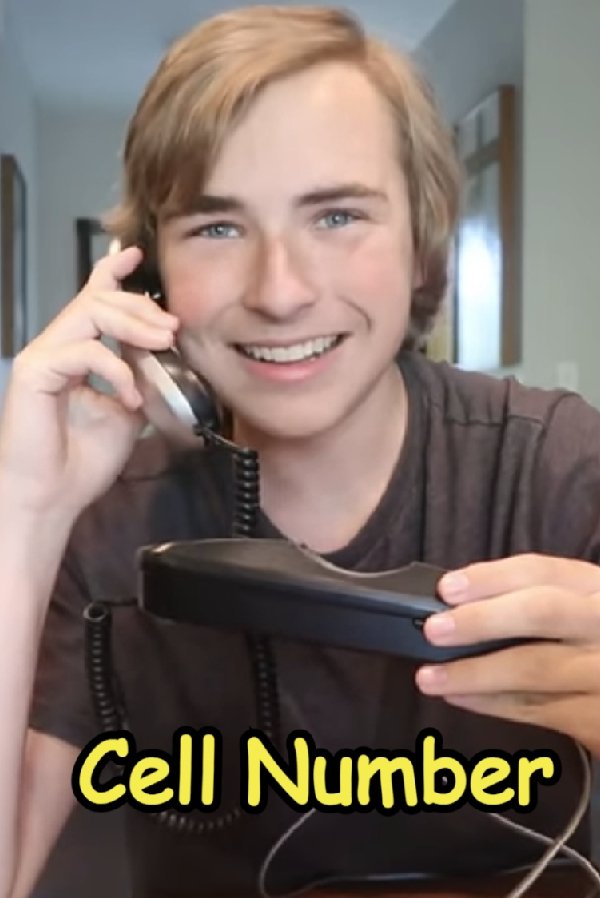 Content cover