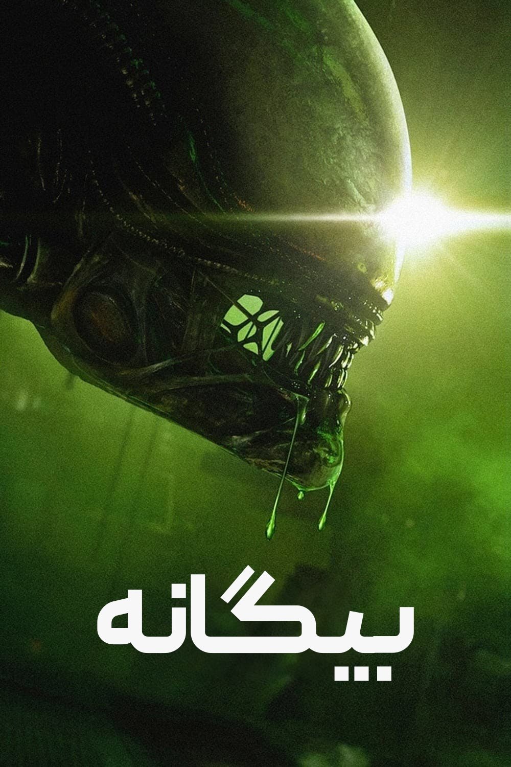 بیگانه