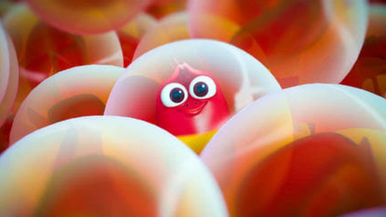 Larva