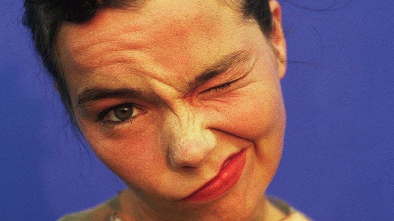 Björk: Vessel 1994 (1994)