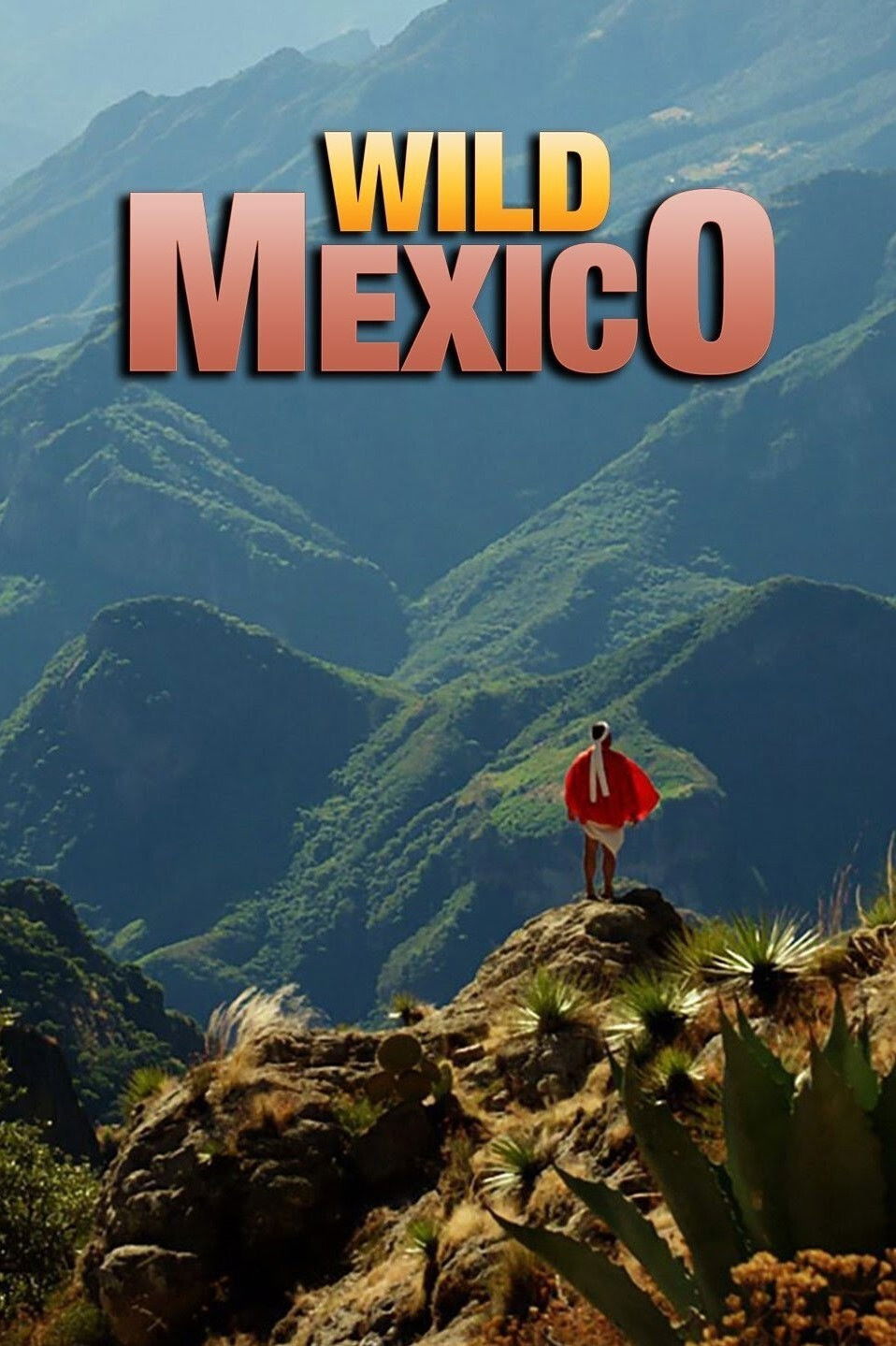 Wild Mexico