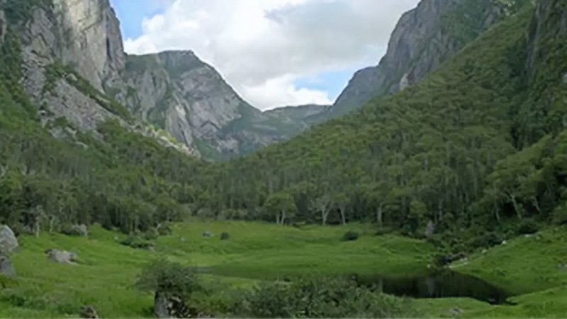 Les parcs nationaux canadiens - Gros-Morne : la nature à l'état brut