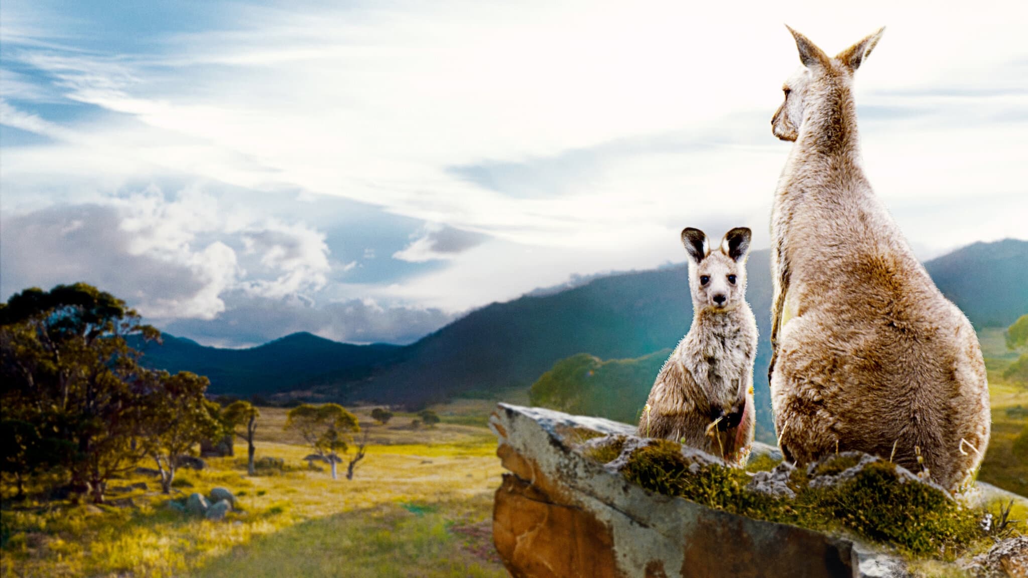 Kangaroo Valley - La valle dei canguri (2022)