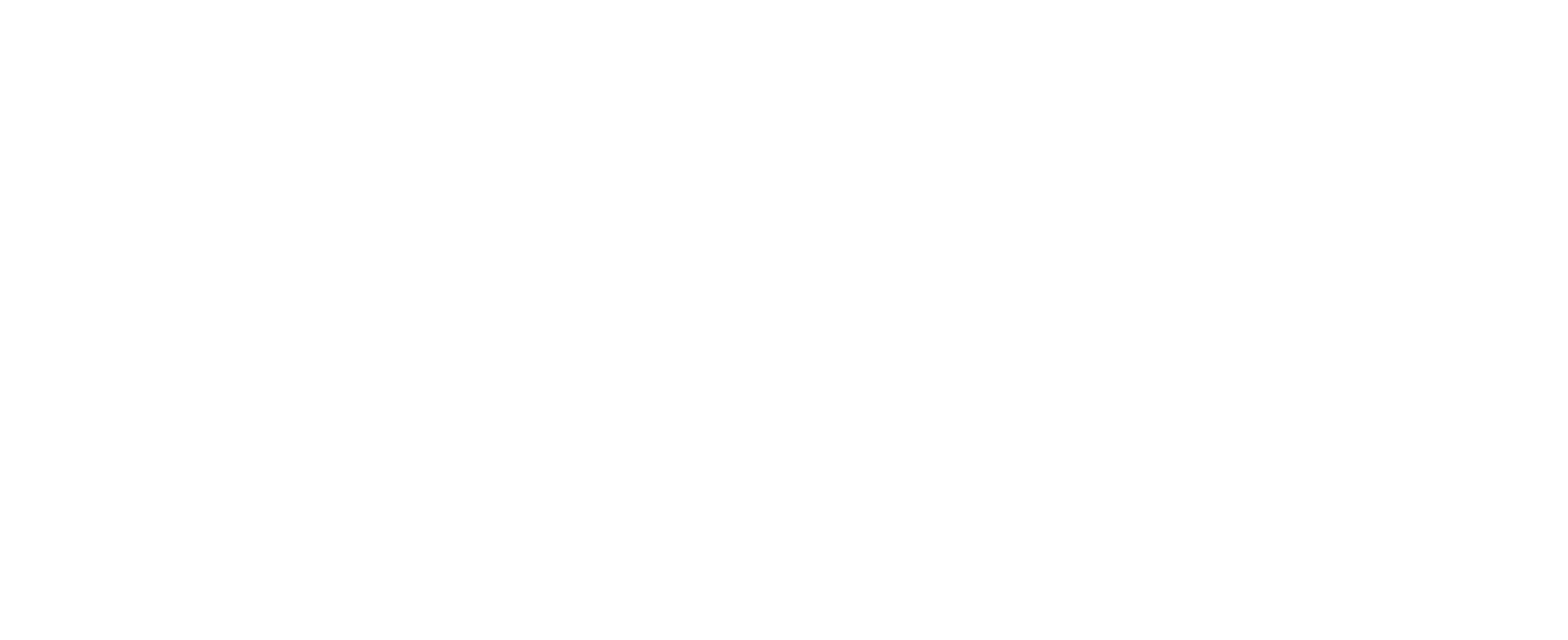 The Sky Is Everywhere Logo