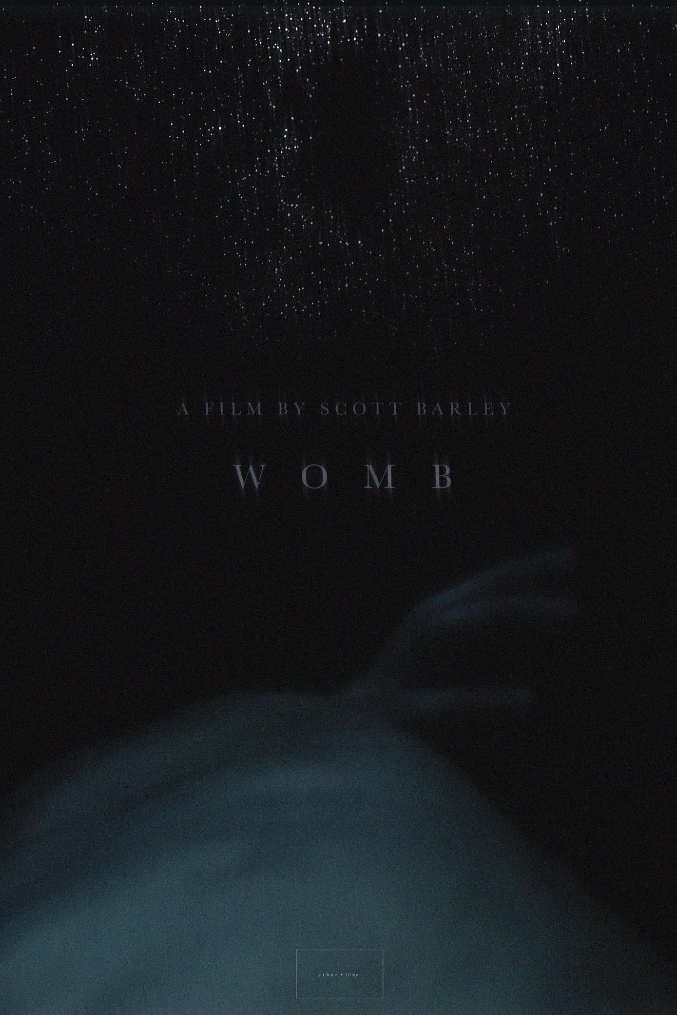 Womb