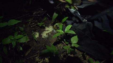Amazonas Clandestino