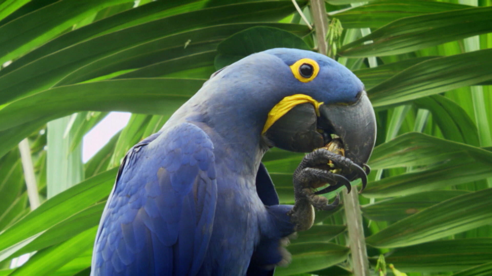 Earth Odyssey with Dylan Dreyer S03E11 backdrop