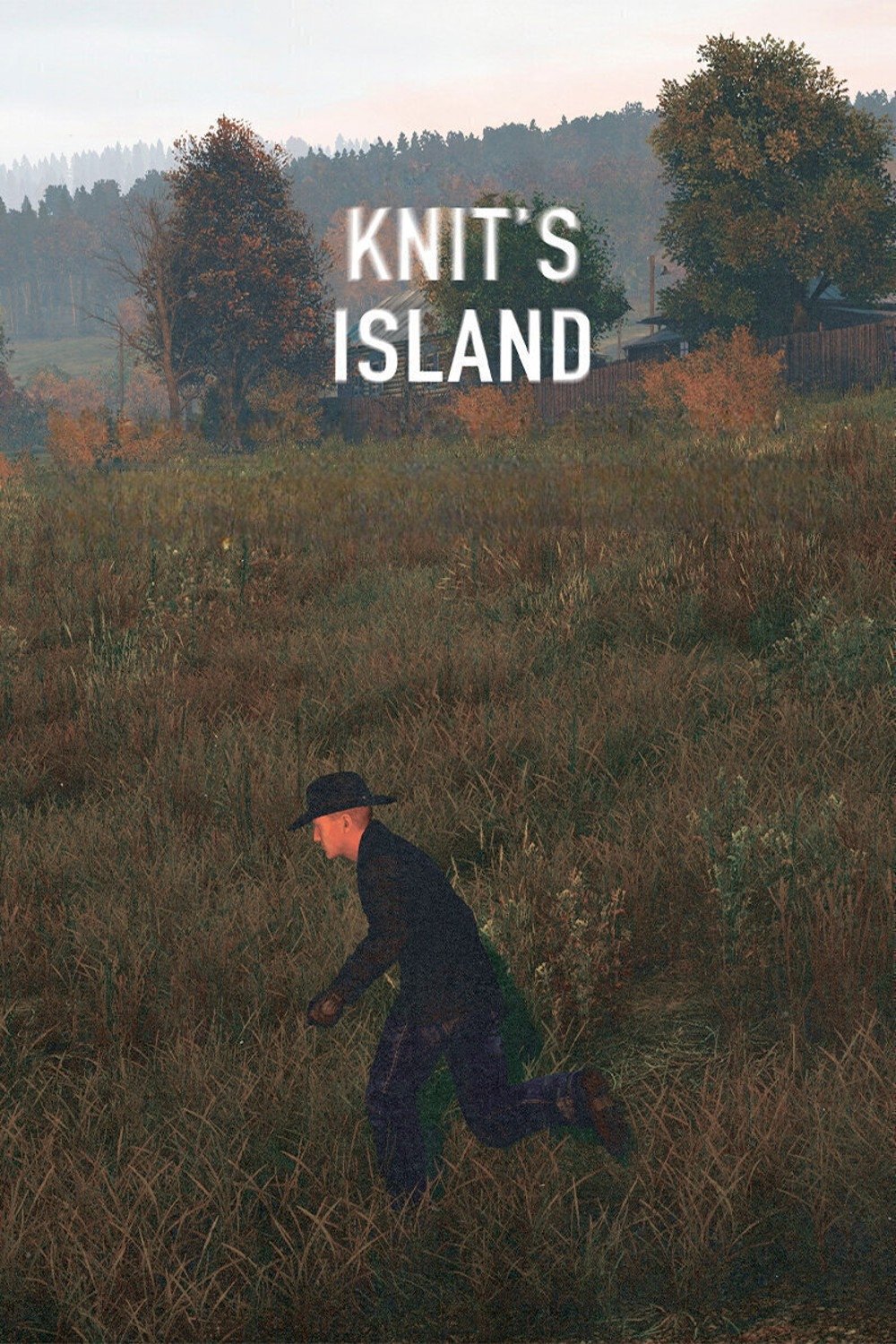 Knit's Island