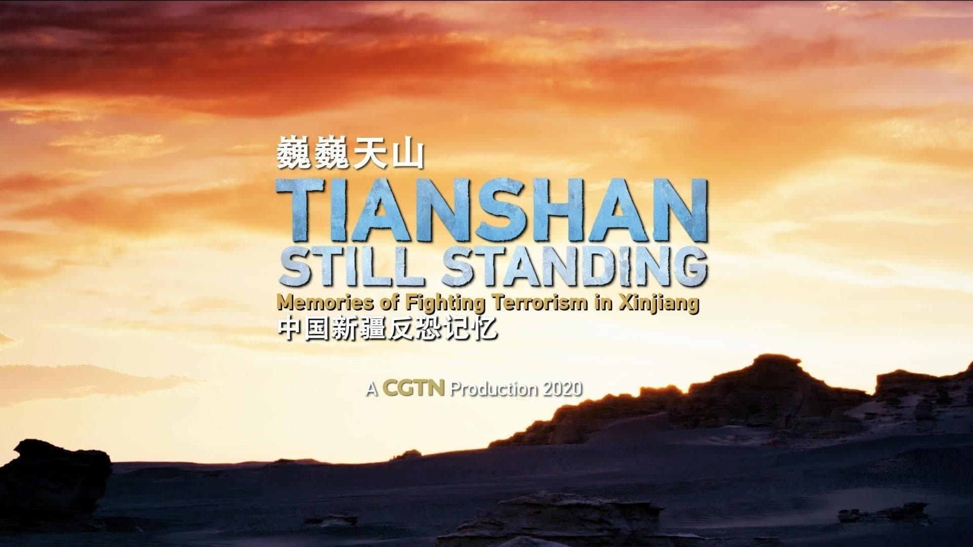 中国新疆反恐纪录 poster