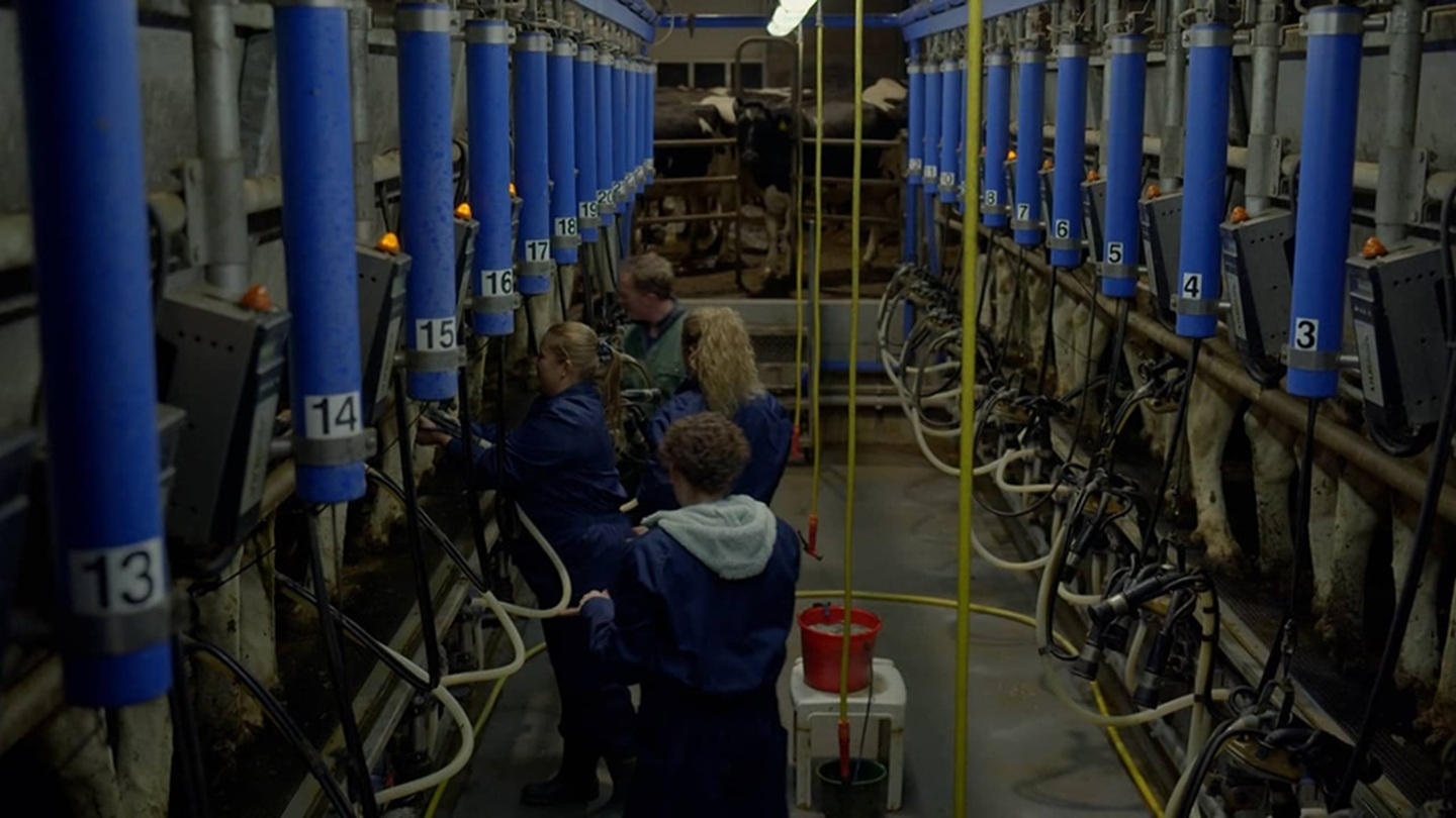 Boer zoekt Vrouw - Épisode 5