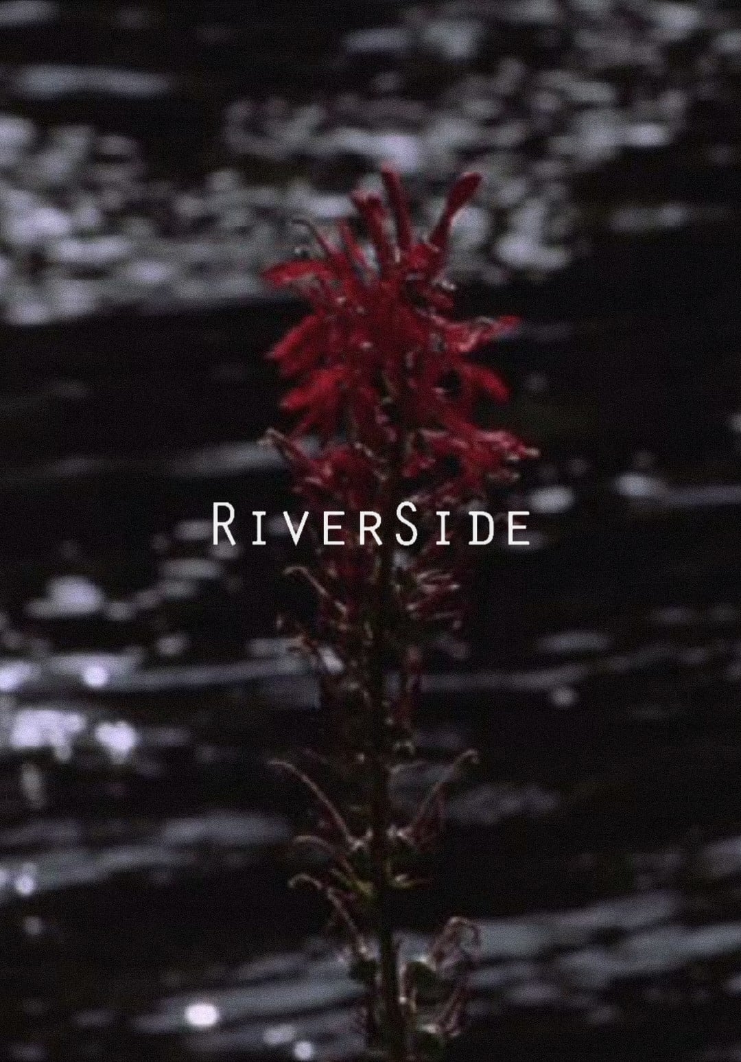 Watch Riverside (2014) Full Movie Online Free Stream