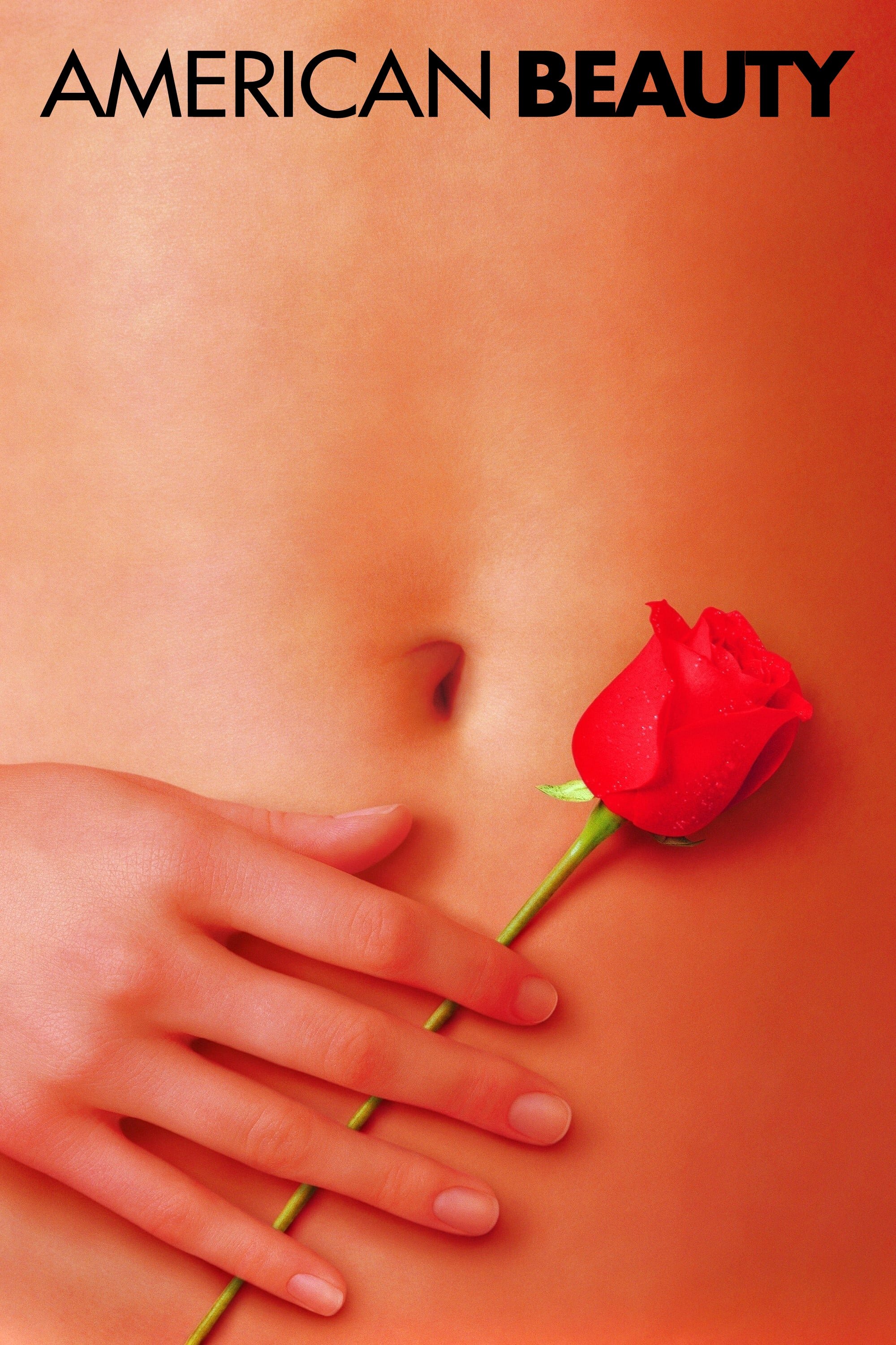 American Beauty
