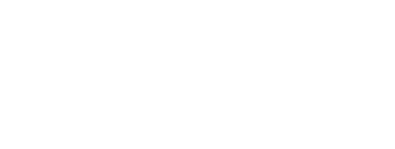 Secret City Logo