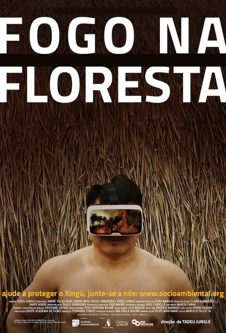 Fire in the Forest