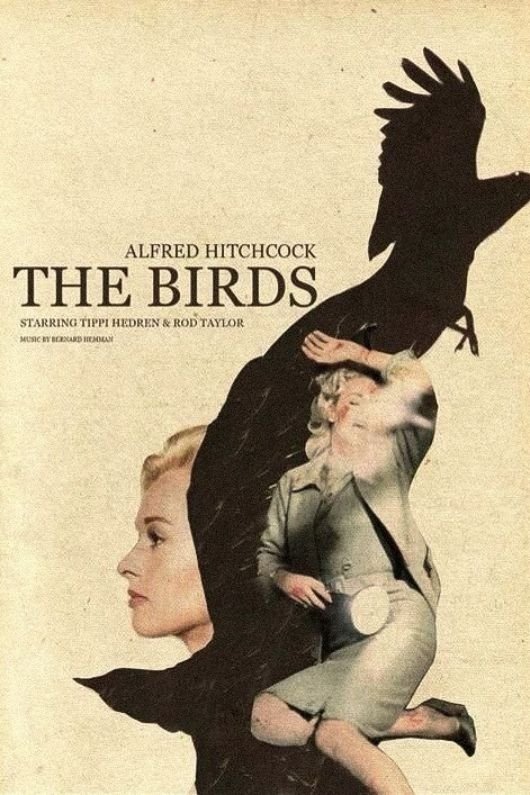The Birds