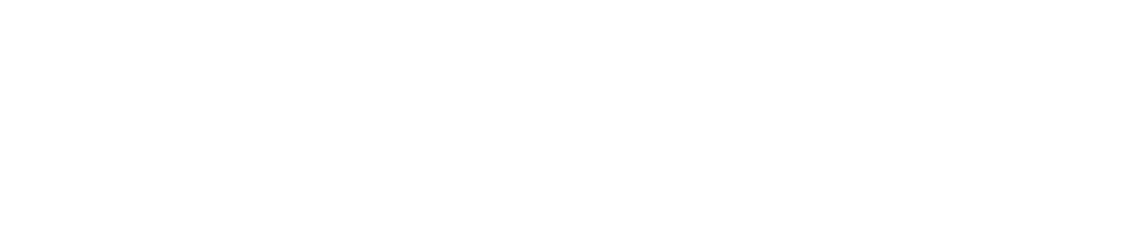 National Treasure Logo