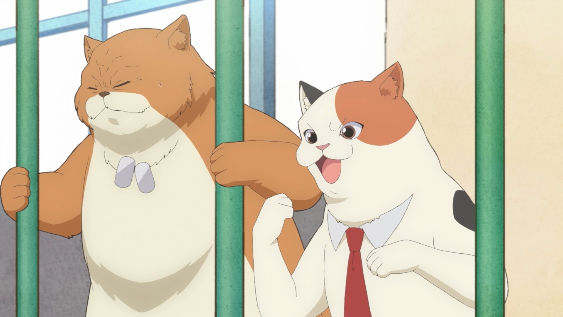 Episode 13