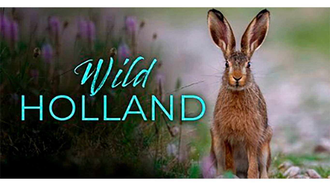 Holland: Natuur in de Delta