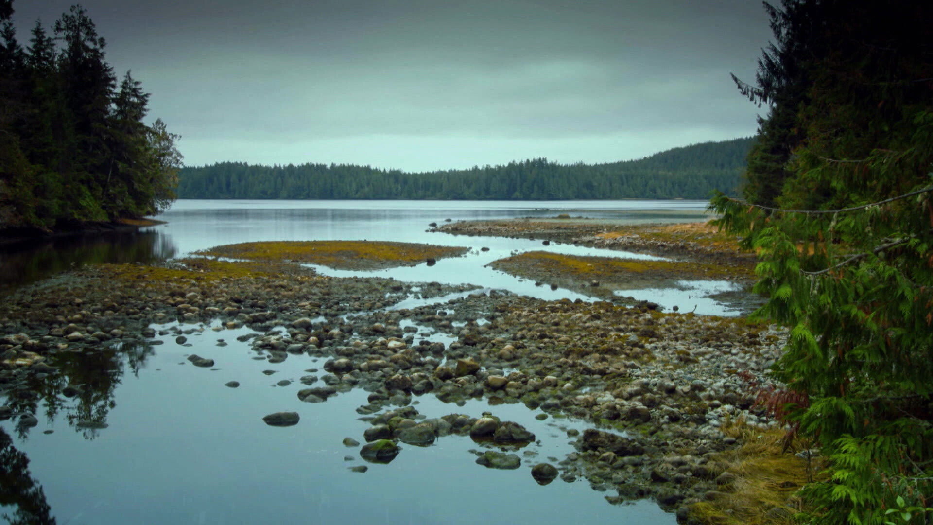 Earth Odyssey with Dylan Dreyer S03E31 backdrop