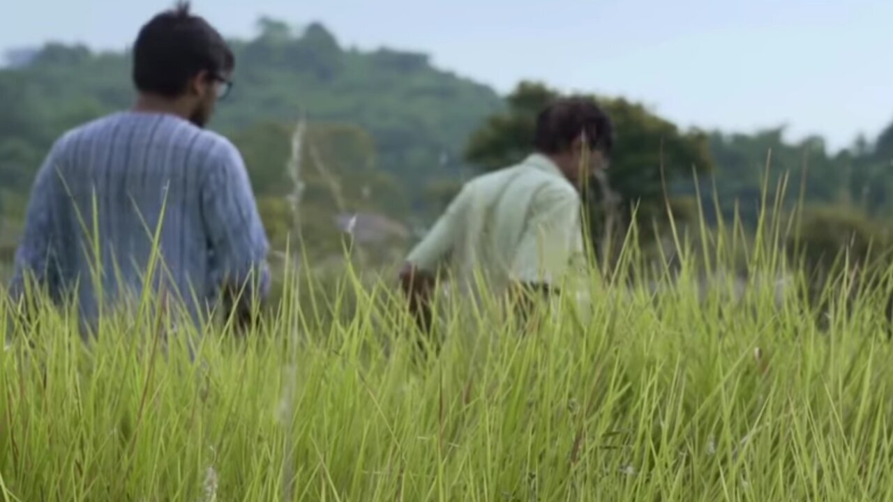 Silence In The Wind (2020)