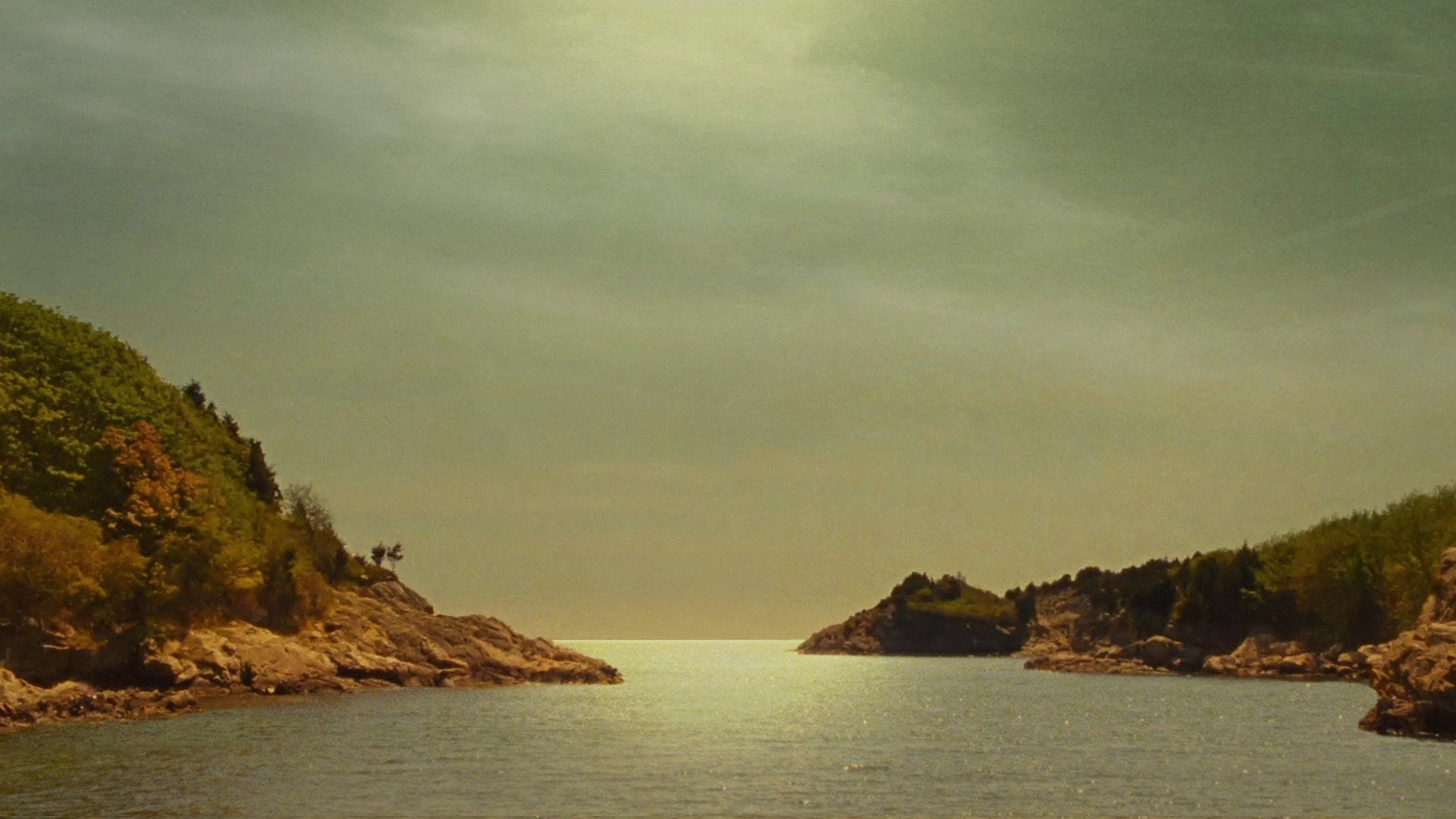 Image du film Moonrise Kingdom 4miwmbislnh7rmcqojwsa8vlm70jpg