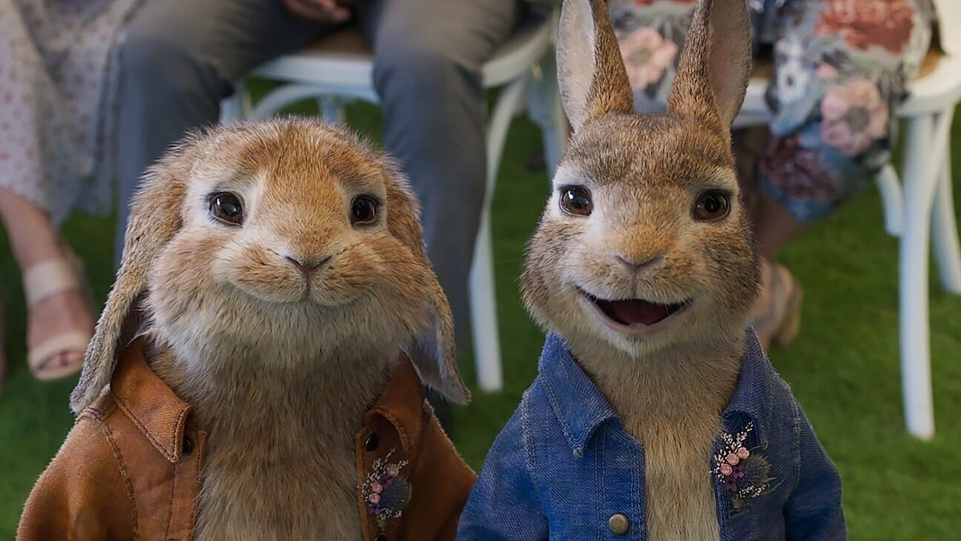 Peter Rabbit 2: The Runaway (2021)