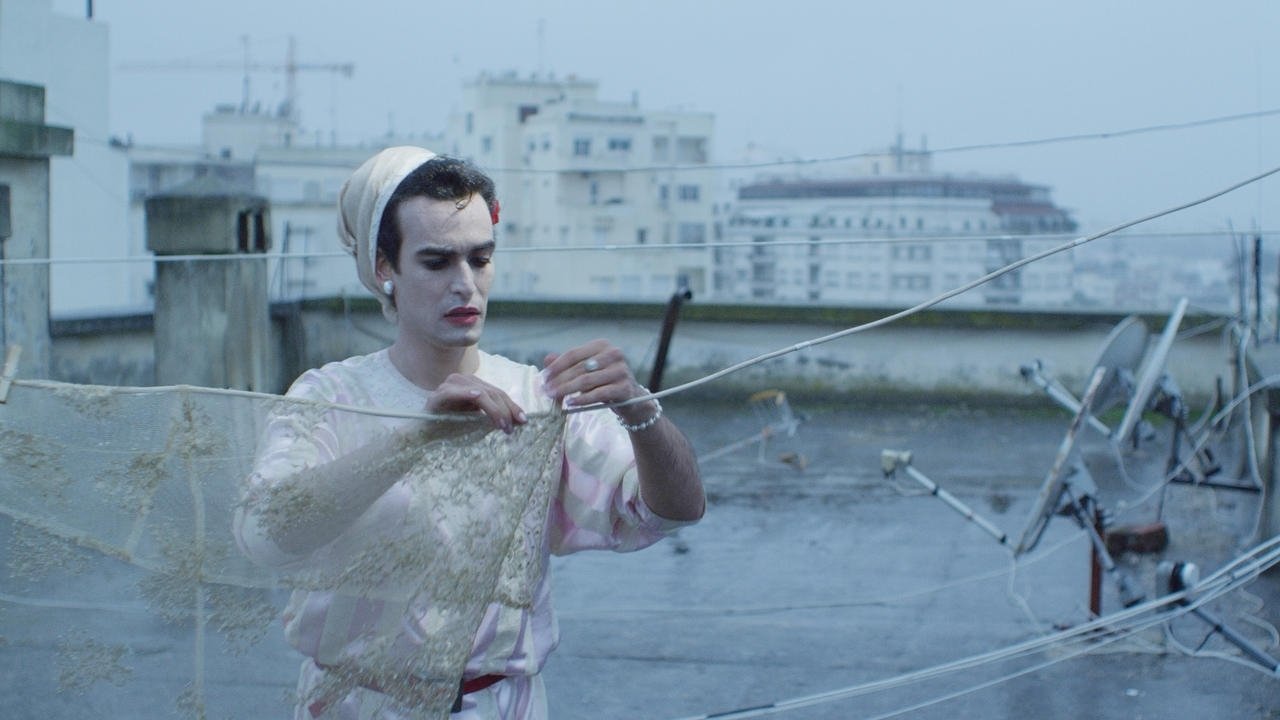 The Great Safae (2014)