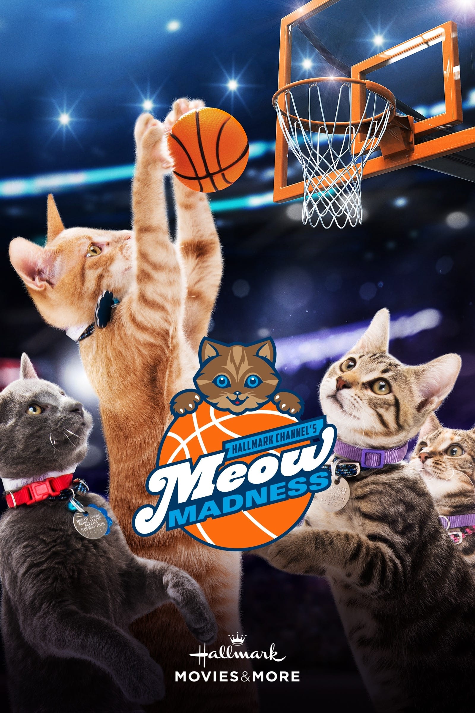 Meow Madness on FREECABLE TV