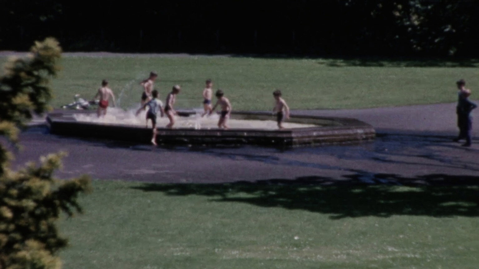 Hawick Pictorial 1966