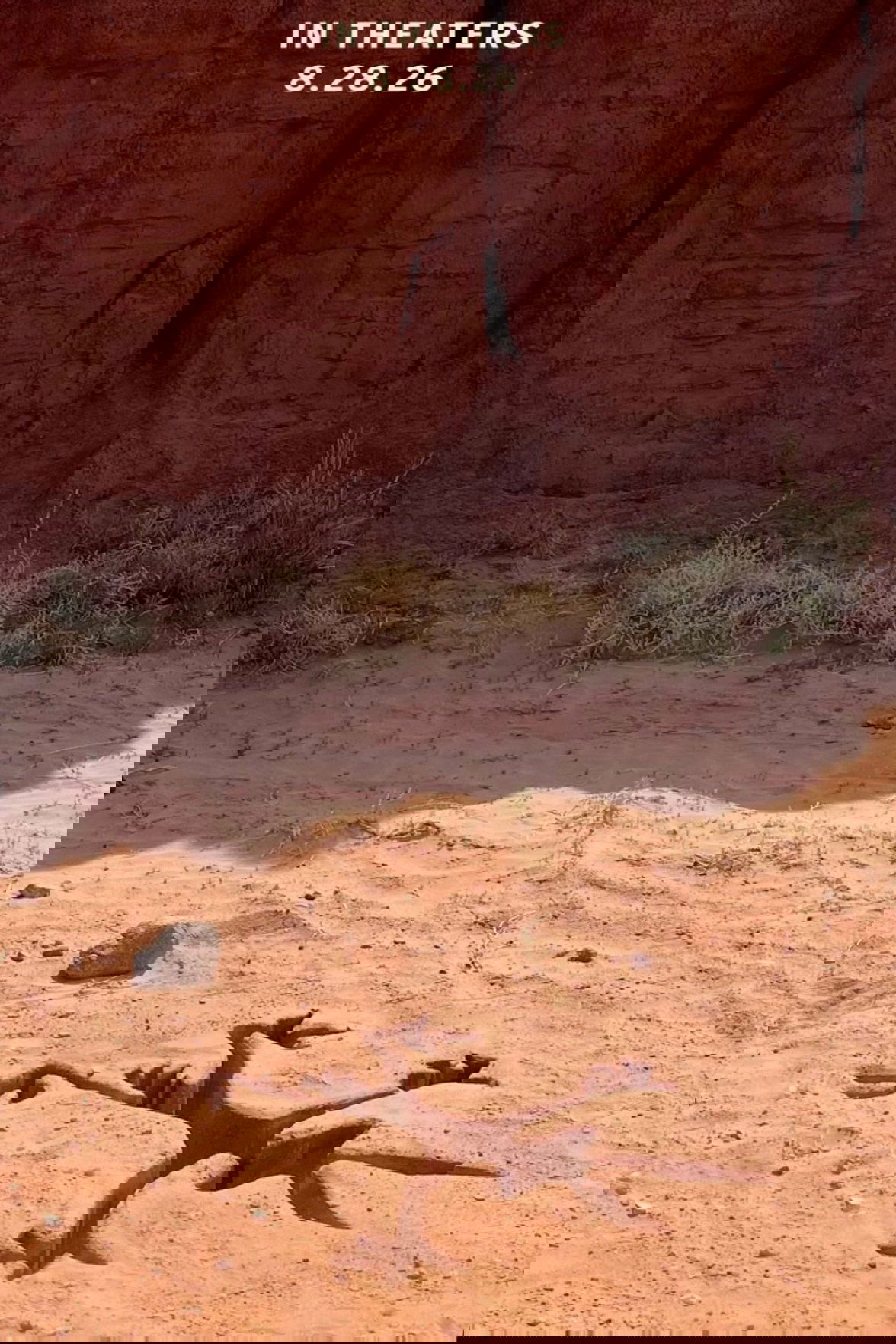 Coyote vs. Acme